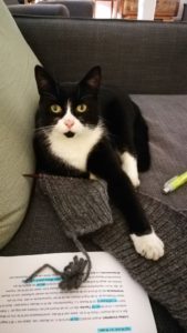 Fenton und Dr. Schwarzschild