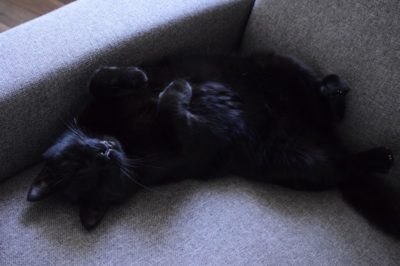 12von12, Mai 2019, Bild 02