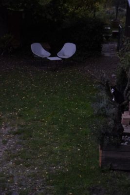 12von12, Oktober 2019, Fenton