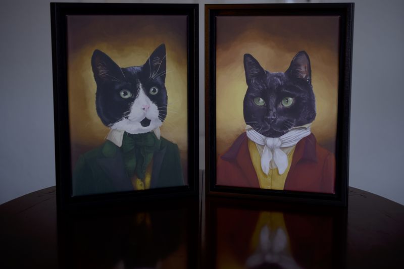 Katzenporträts